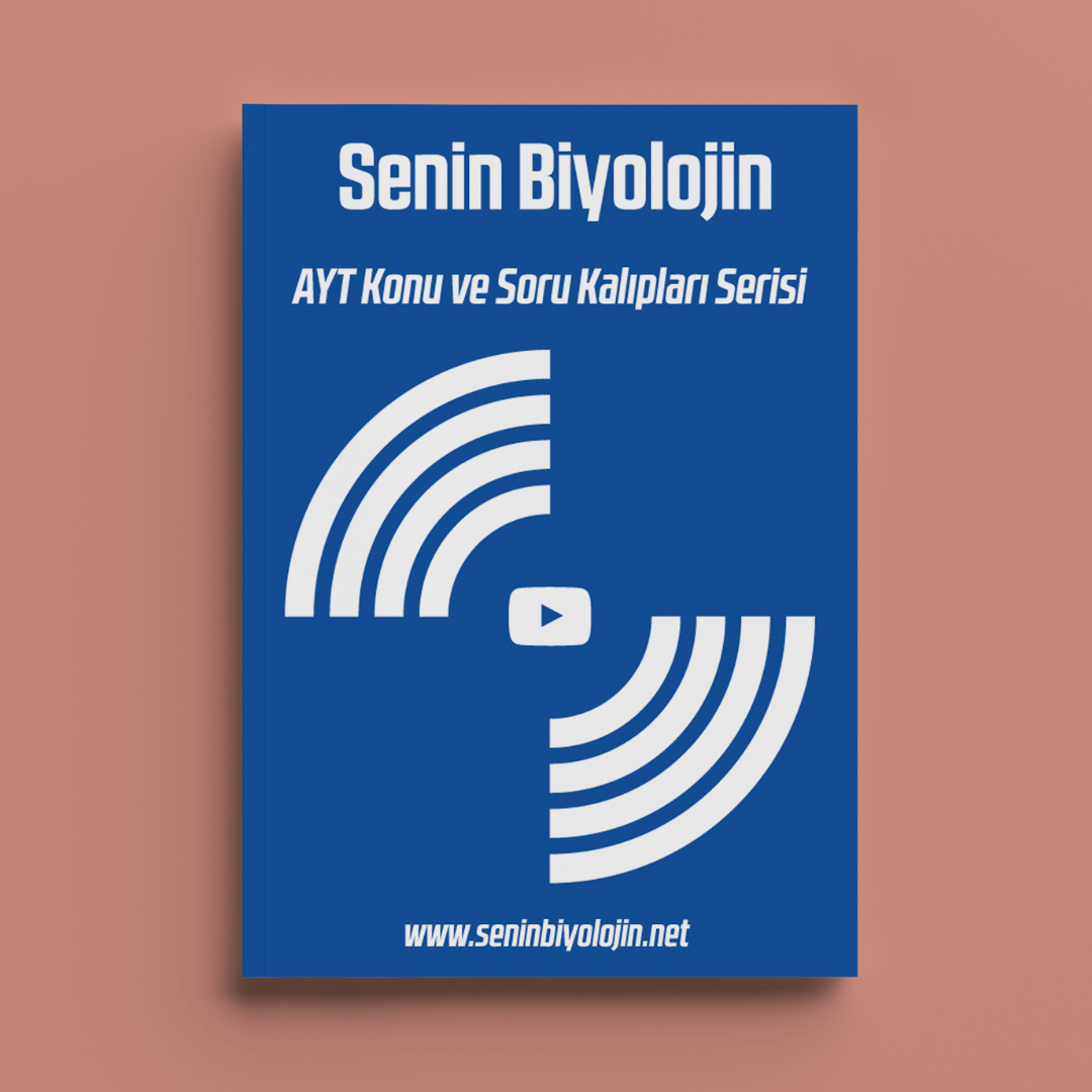 TYT & AYT Konu ve Soru Kalıpları Serisi