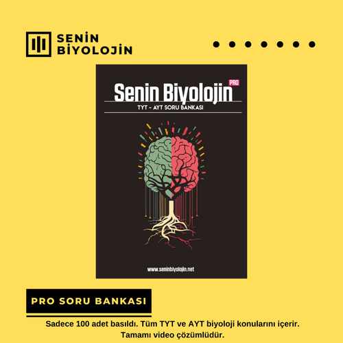 2027 PRO Paket